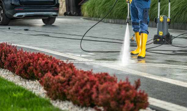 Professional Pressure Washing Services in Lake In The Hills, IL